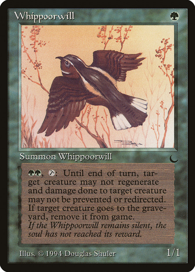 image Whippoorwill