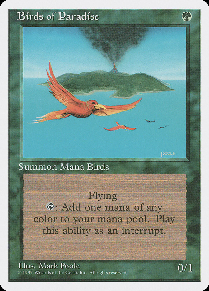 image Birds of Paradise