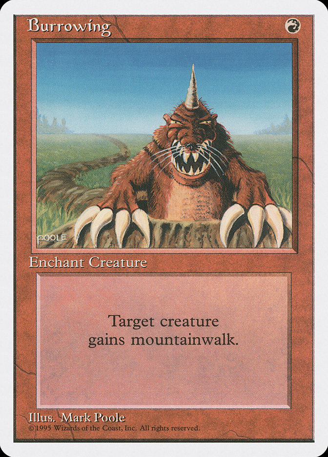 image Burrowing