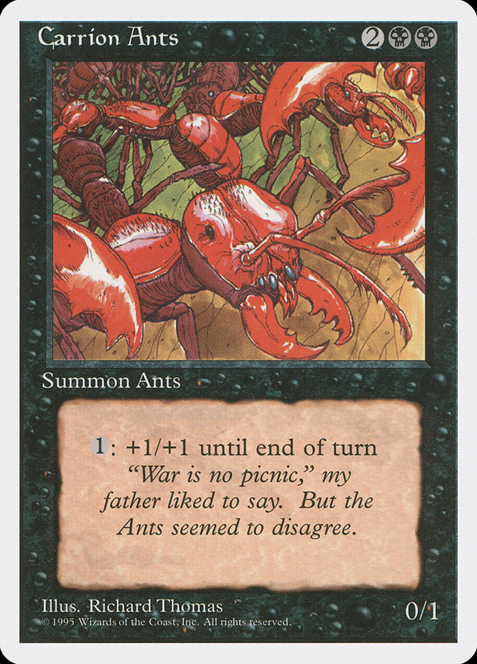 image Carrion Ants