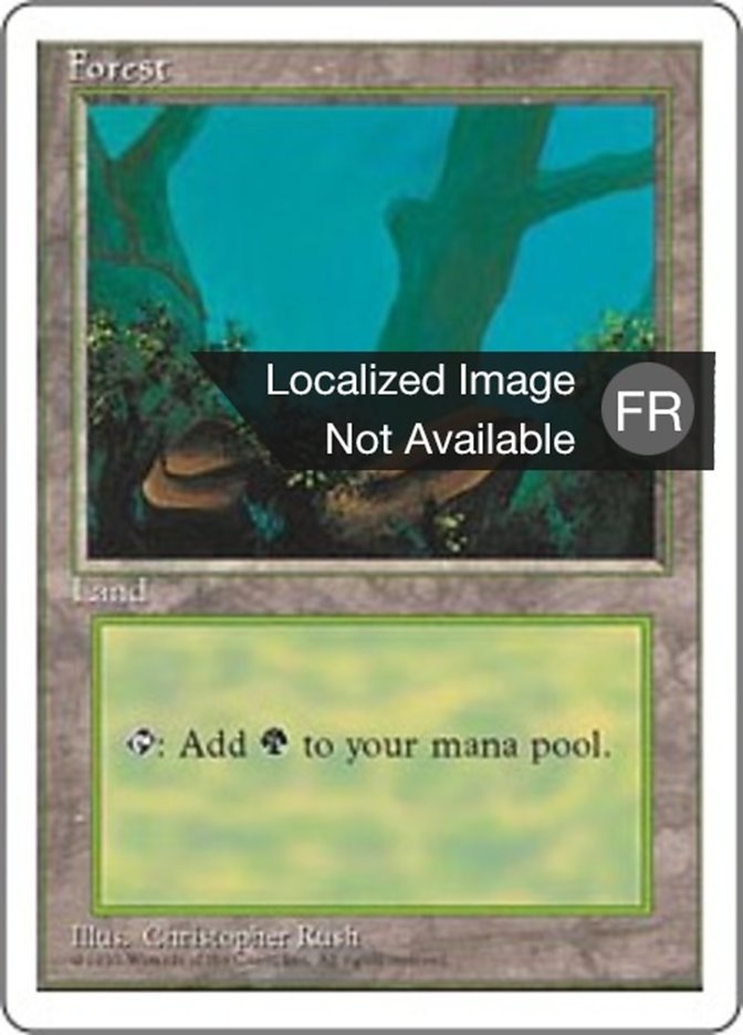 image Forêt
