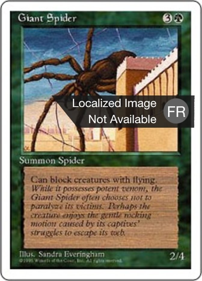 image Araignée géante