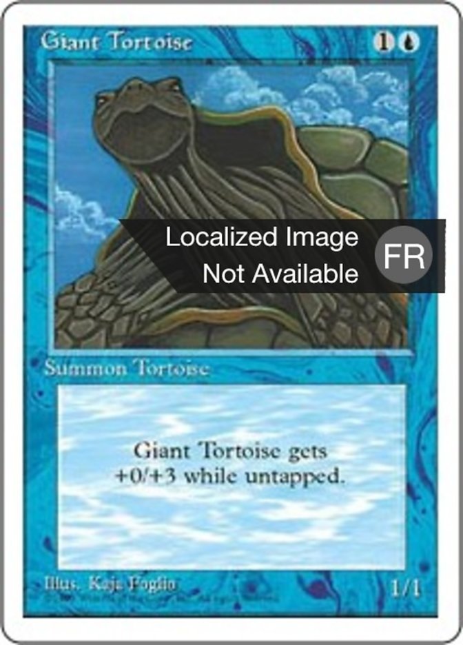 image Tortue marine géante