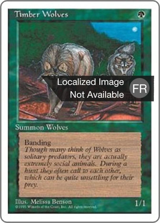 image Loups des forêts