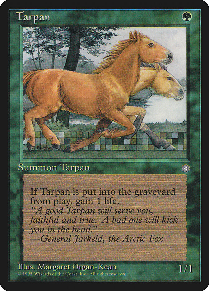 image Tarpan