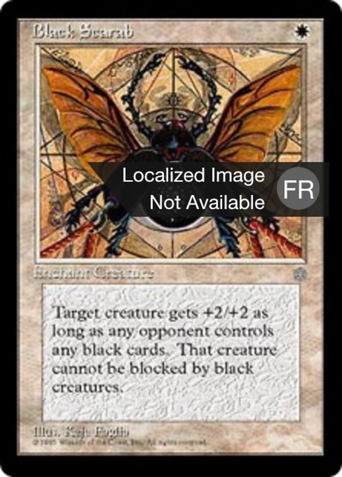 image Scarabée noir
