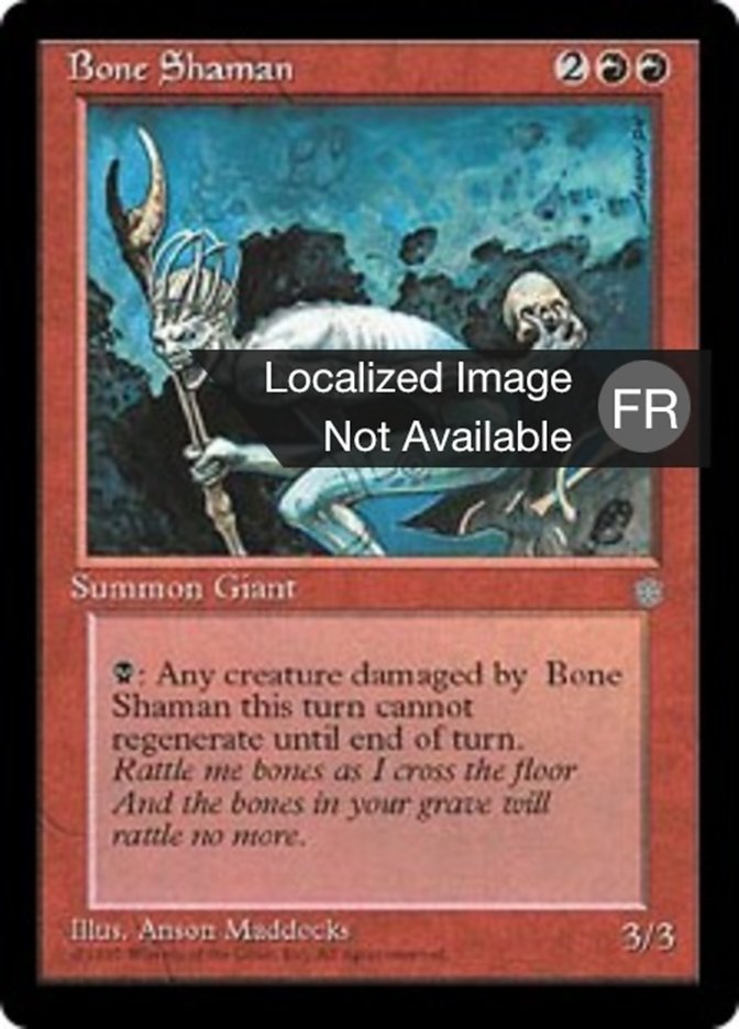 image Shamane ostéomancien