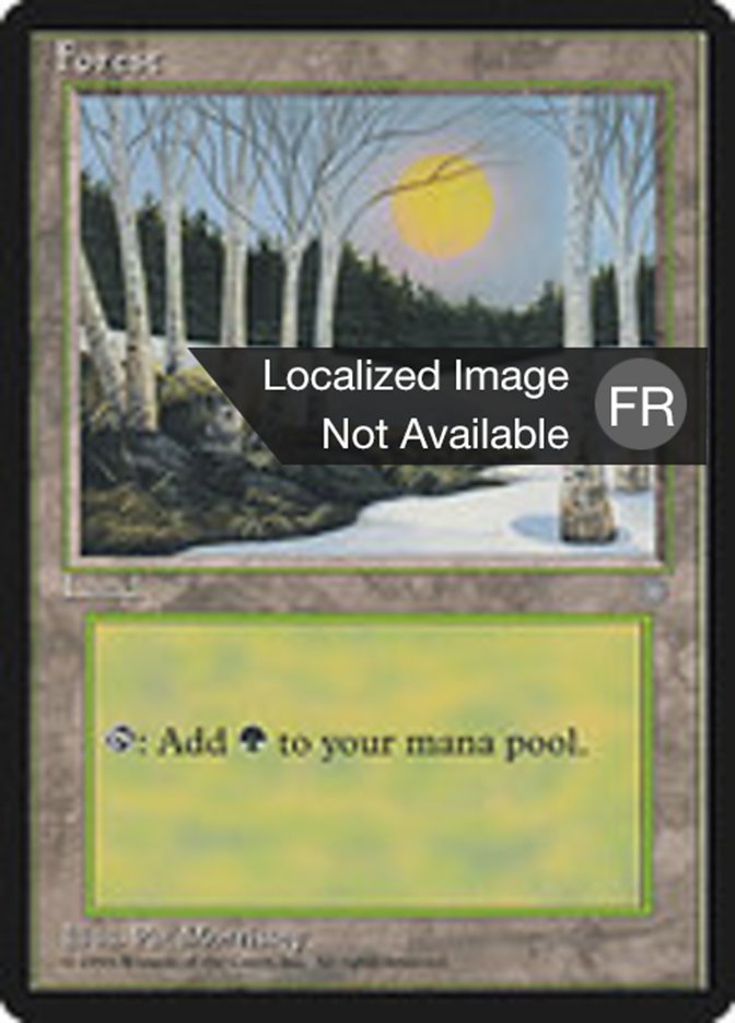image Forêt