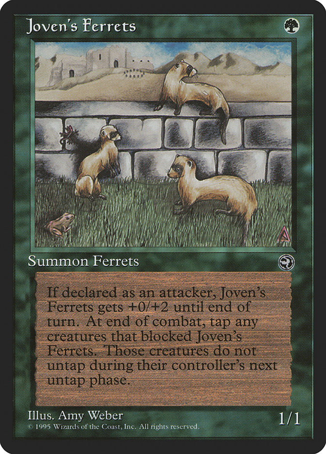 image Joven's Ferrets
