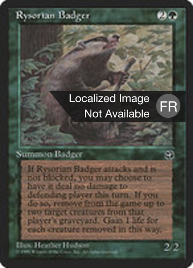 image Blaireau rhizorien