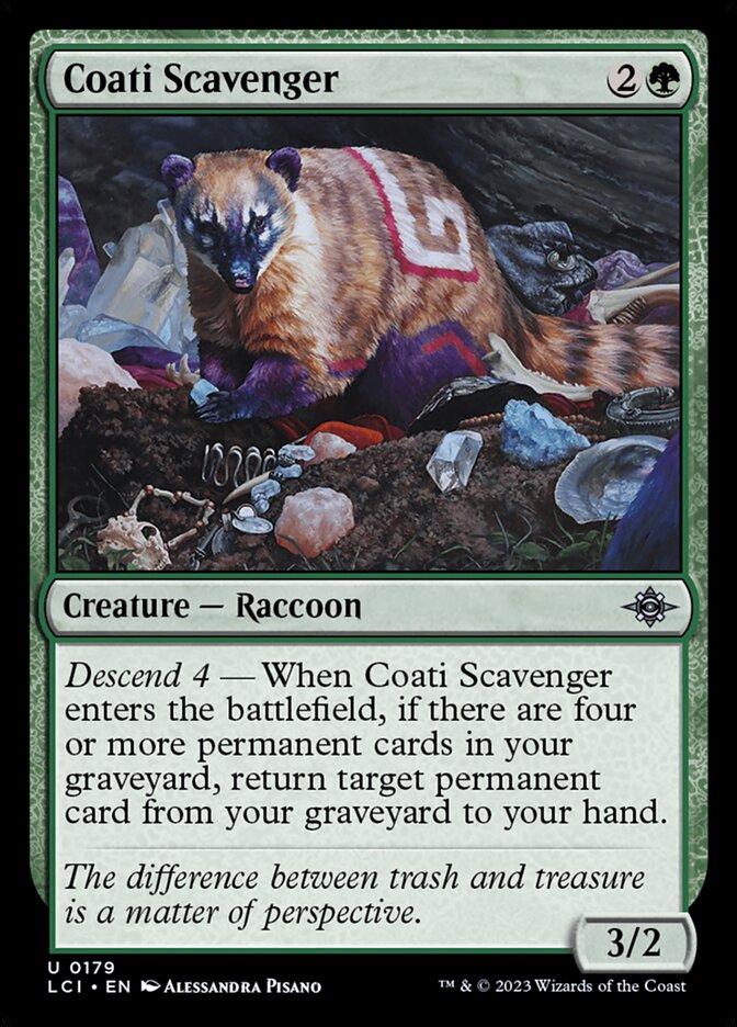 image Coati Scavenger