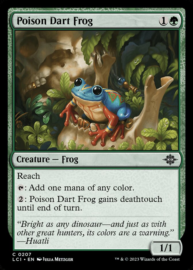 image Poison Dart Frog