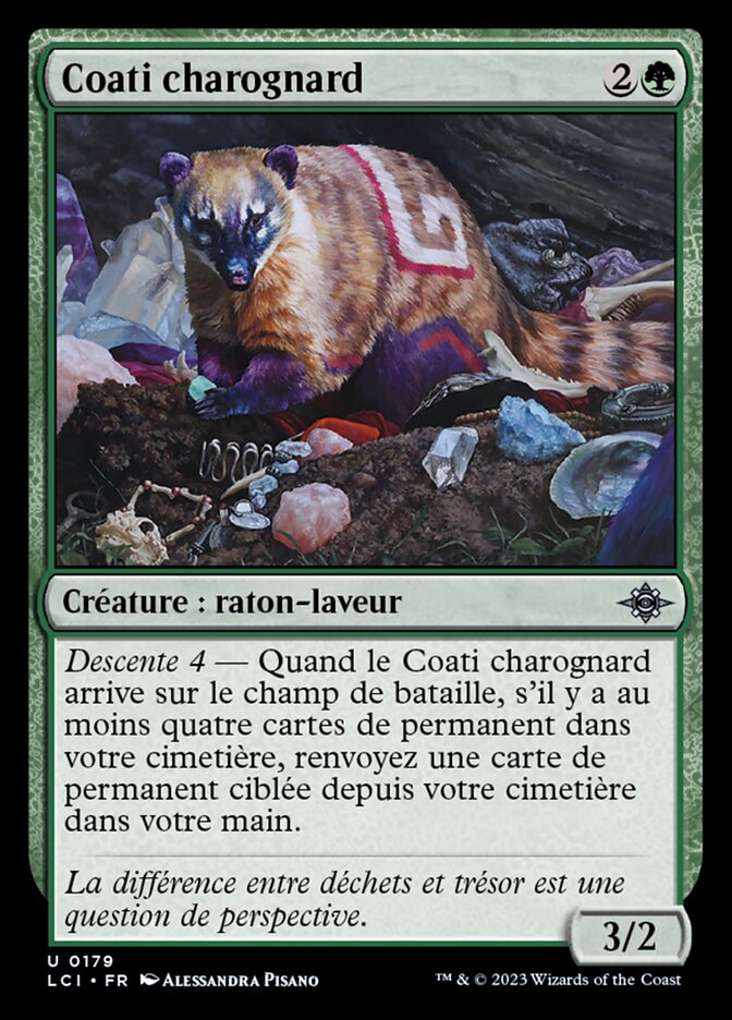 image Coati charognard