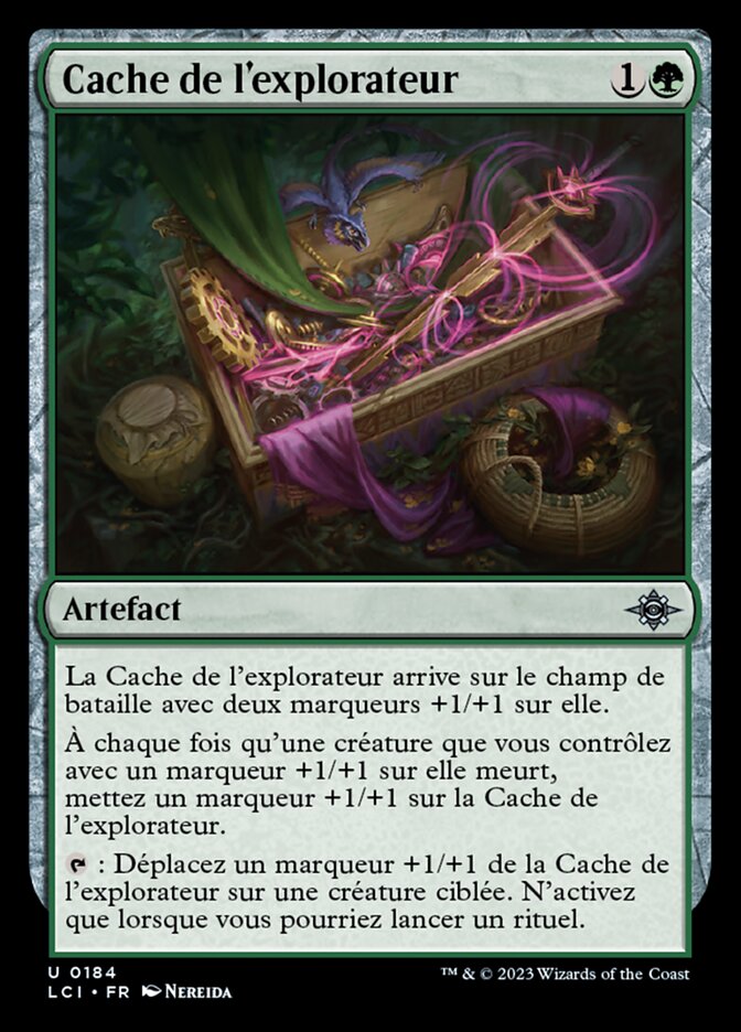 image Cache de l'explorateur