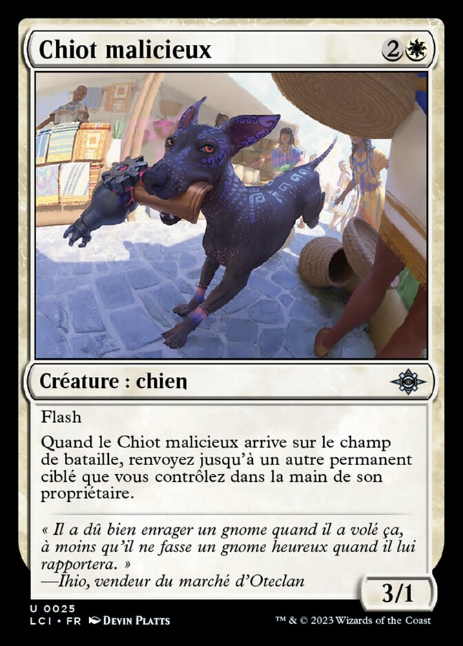 image Chiot malicieux