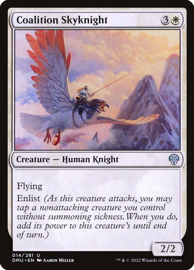 image Coalition Skyknight