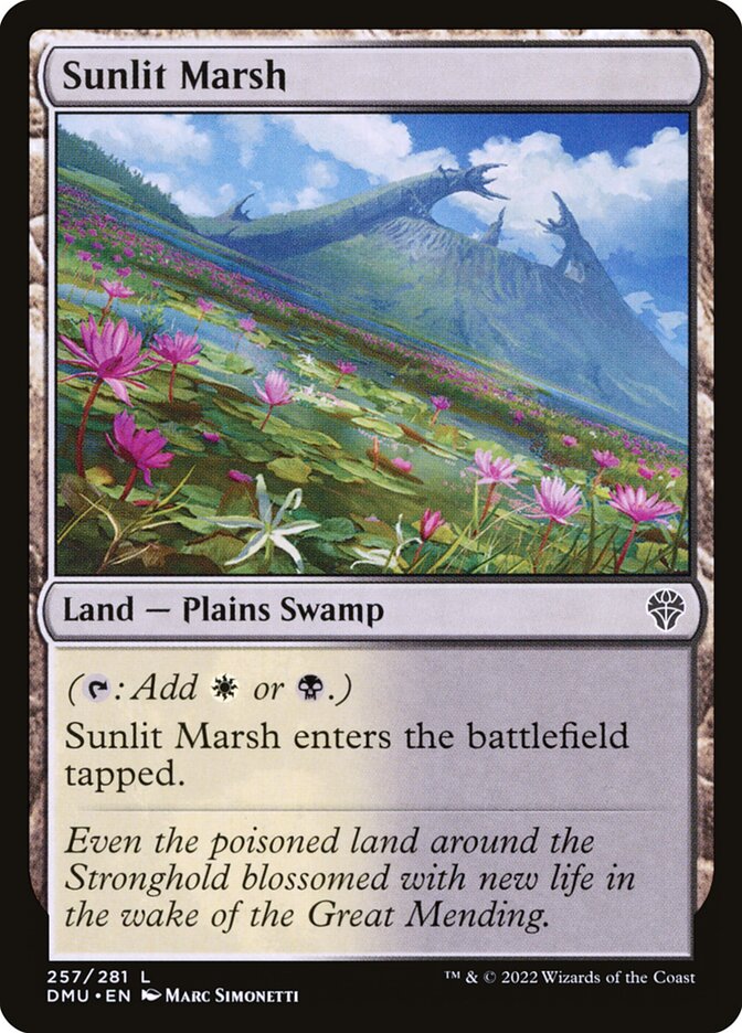 image Sunlit Marsh