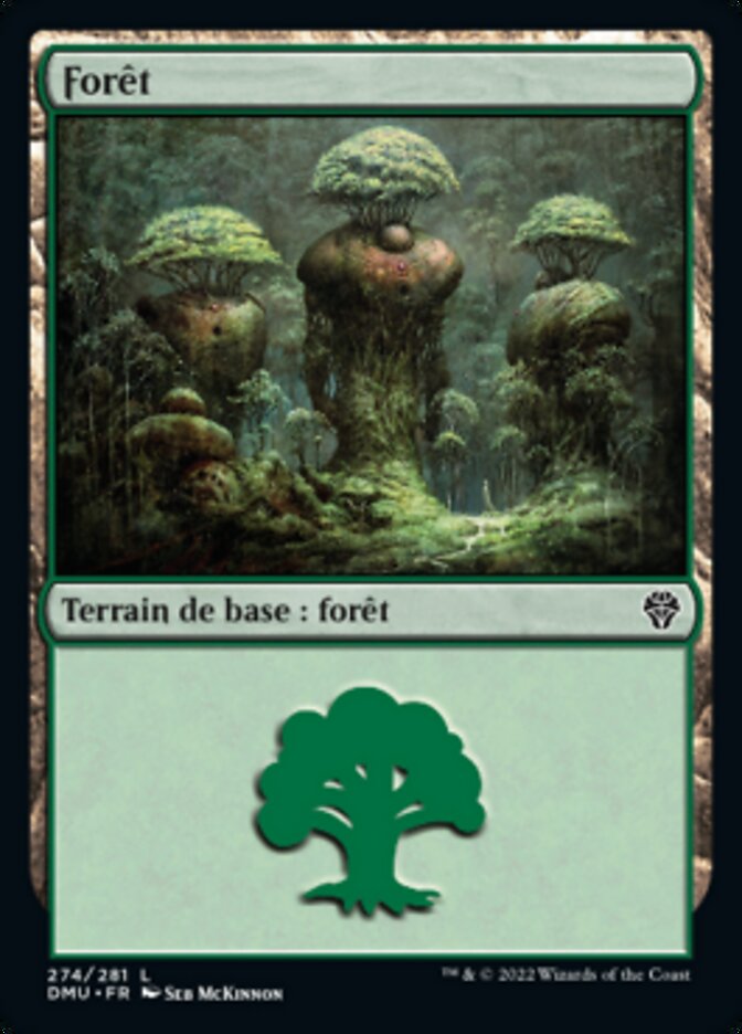 image Forêt