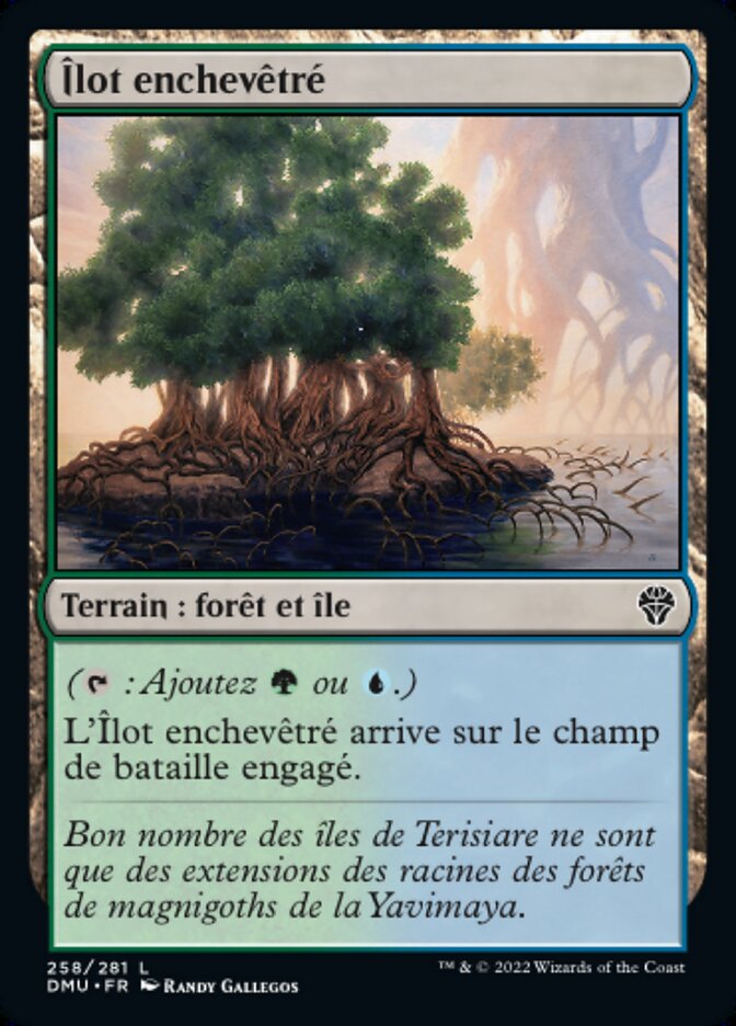 image Îlot enchevêtré