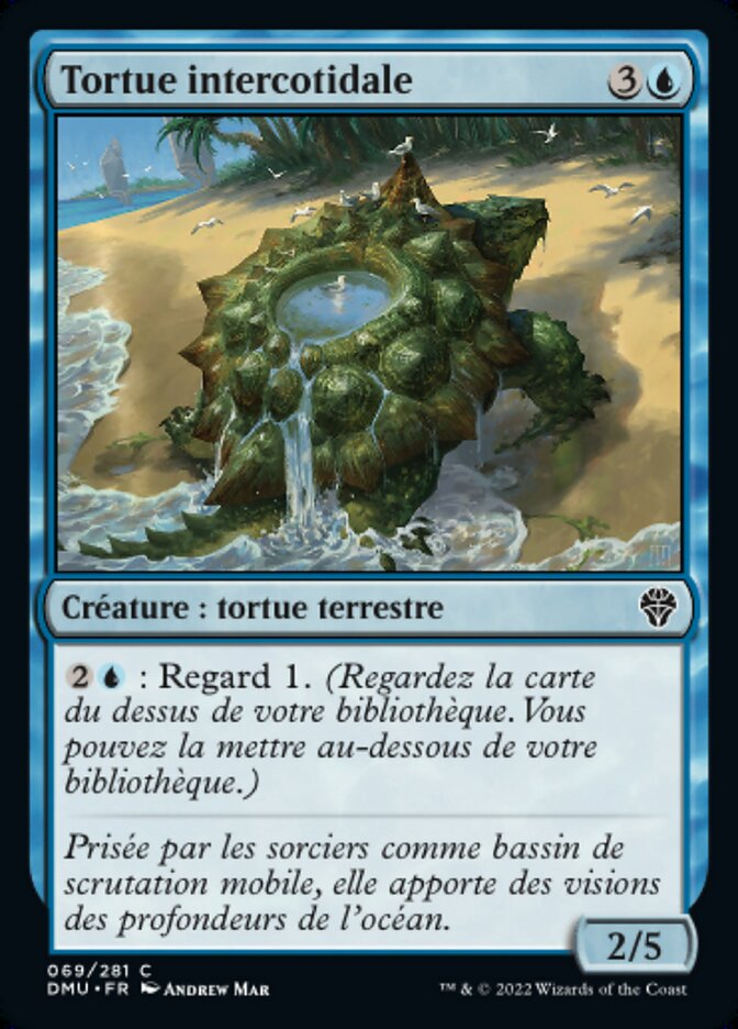 image Tortue intercotidale