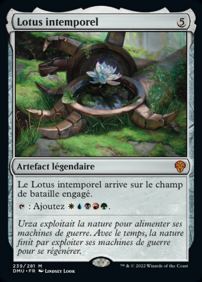 image Lotus intemporel