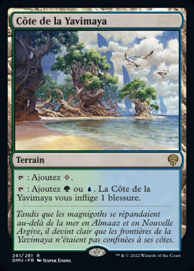 image Côte de la Yavimaya