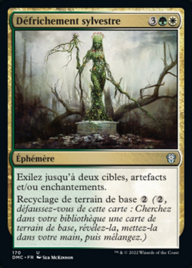 image Défrichement sylvestre