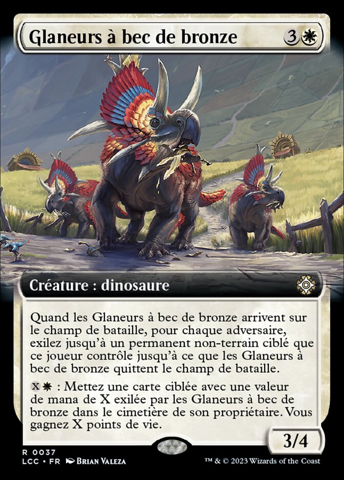 image Glaneurs à bec de bronze