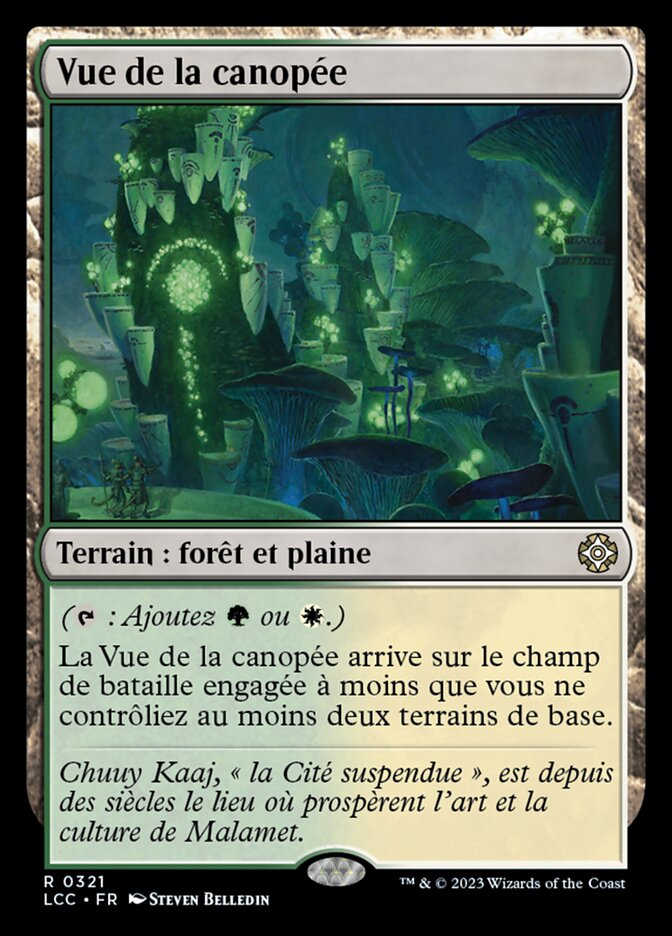 image Vue de la canopée