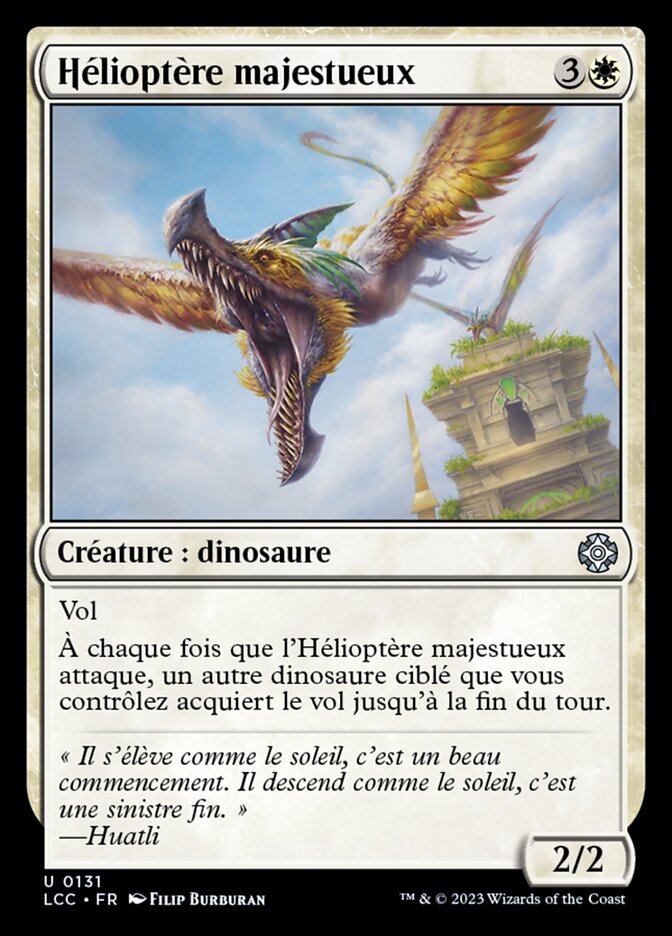 image Hélioptère majestueux