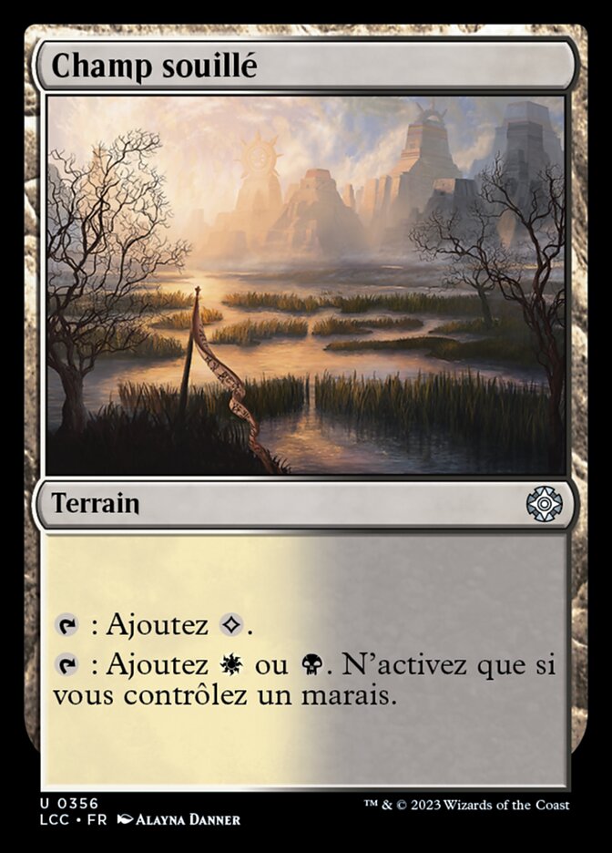 image Champ souillé