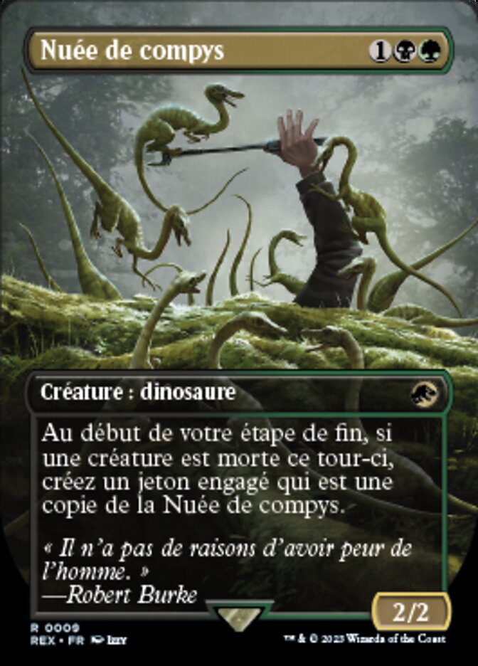image Nuée de compys