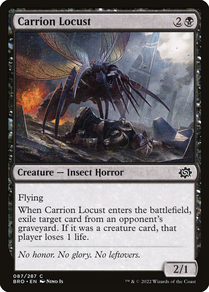 image Carrion Locust