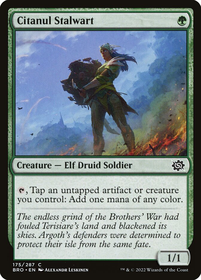 image Citanul Stalwart