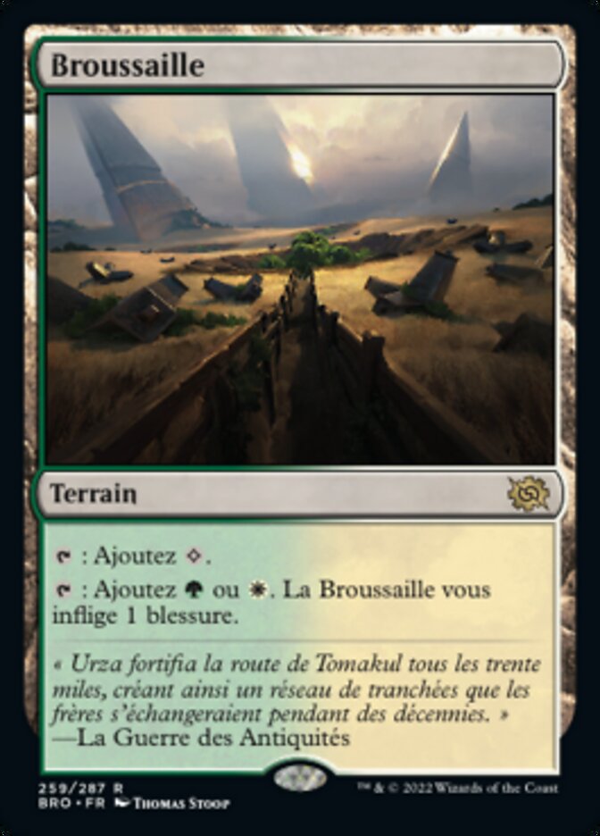 image Broussaille