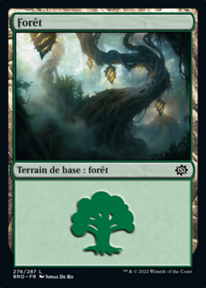 image Forêt