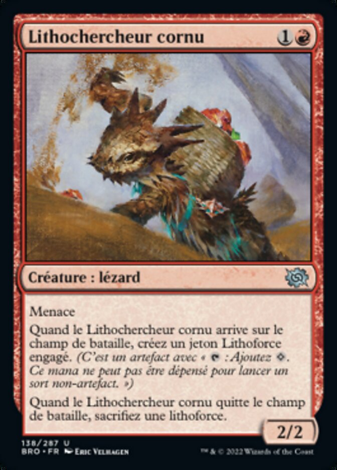 image Lithochercheur cornu