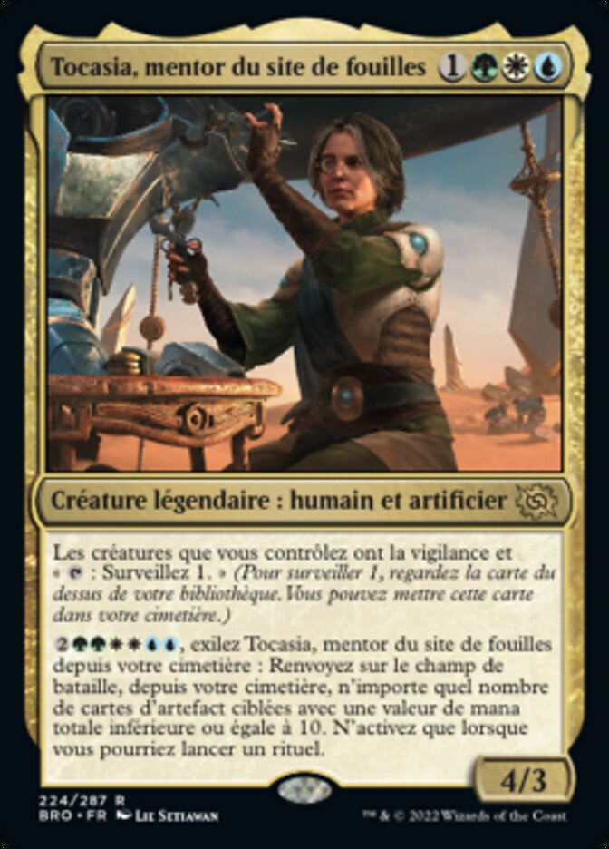 image Tocasia, mentor du site de fouilles