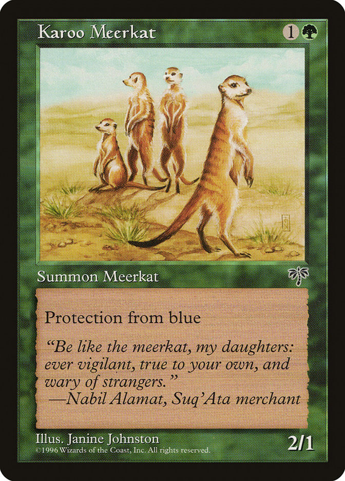 image Karoo Meerkat
