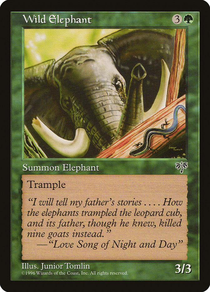 image Wild Elephant