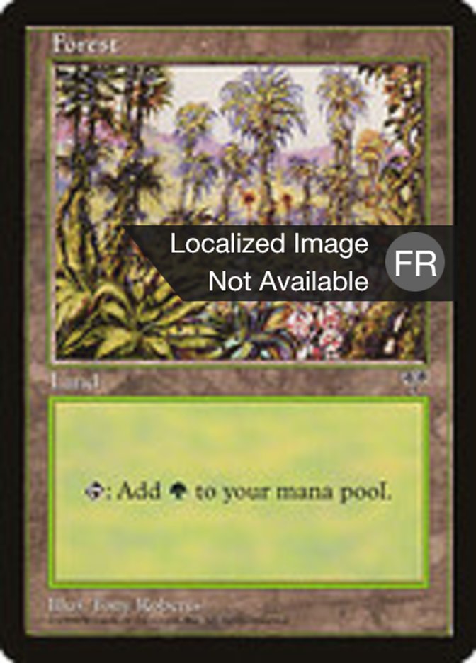 image Forêt
