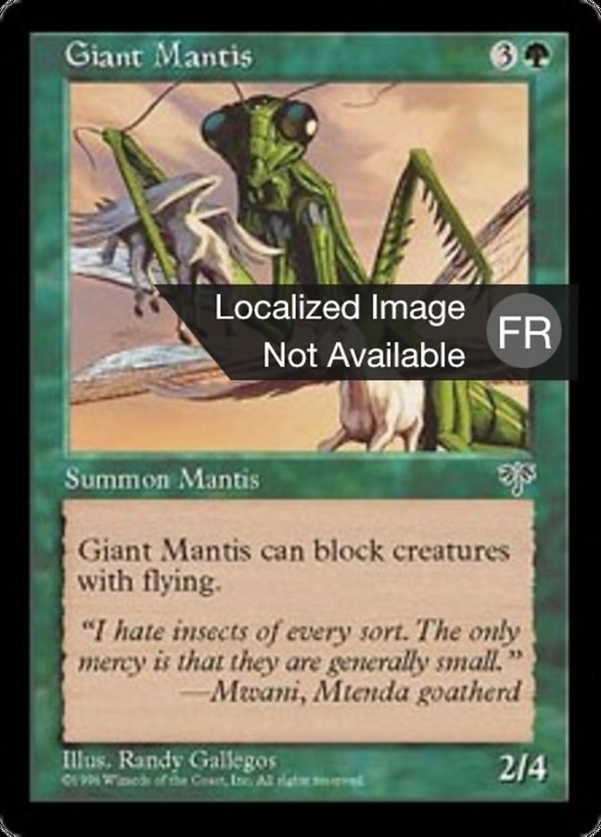 image Mante géante