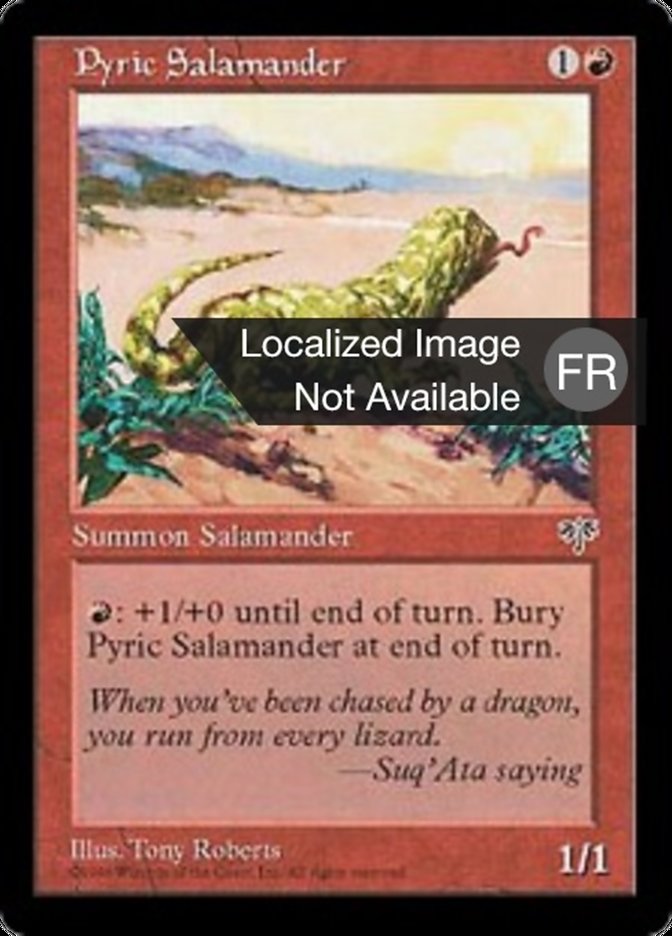 image Salamandre pyrrique