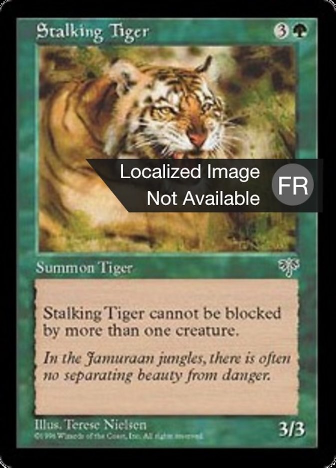 image Tigre en chasse