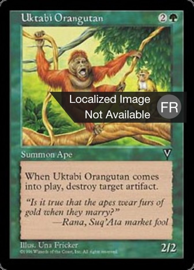 image Orang-outang de l'Ouktabi