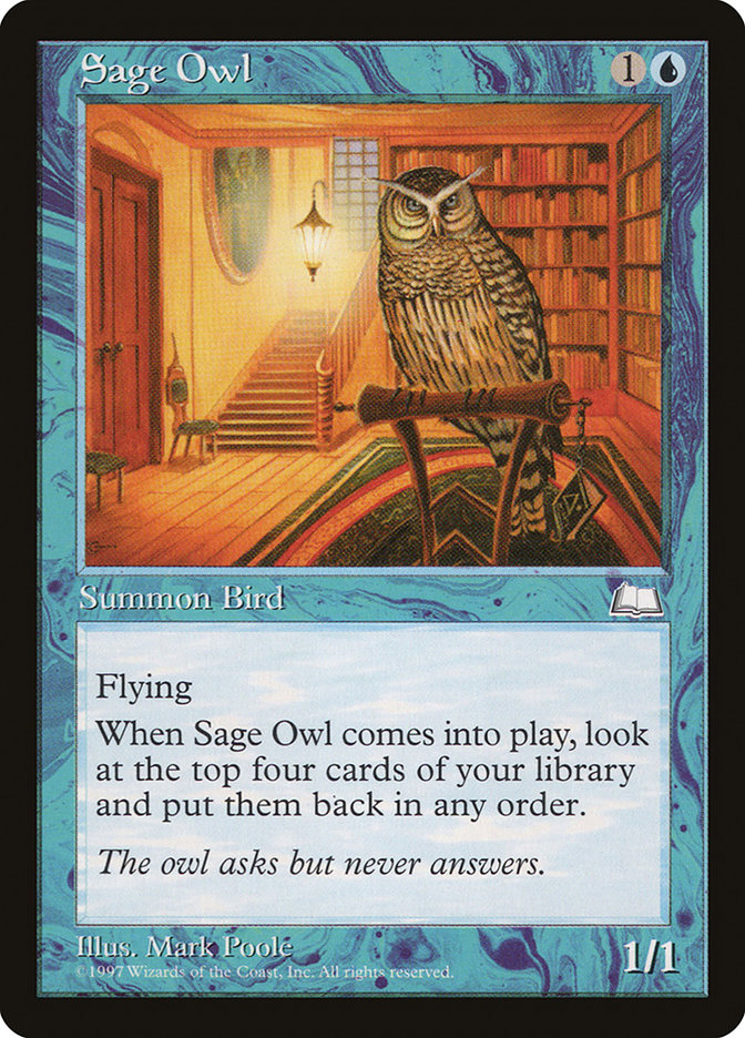image Sage Owl