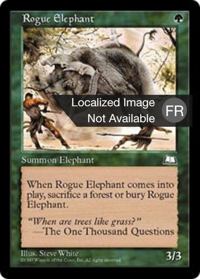 image Eléphant solitaire