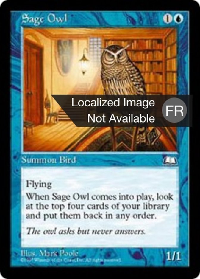image Hibou savant