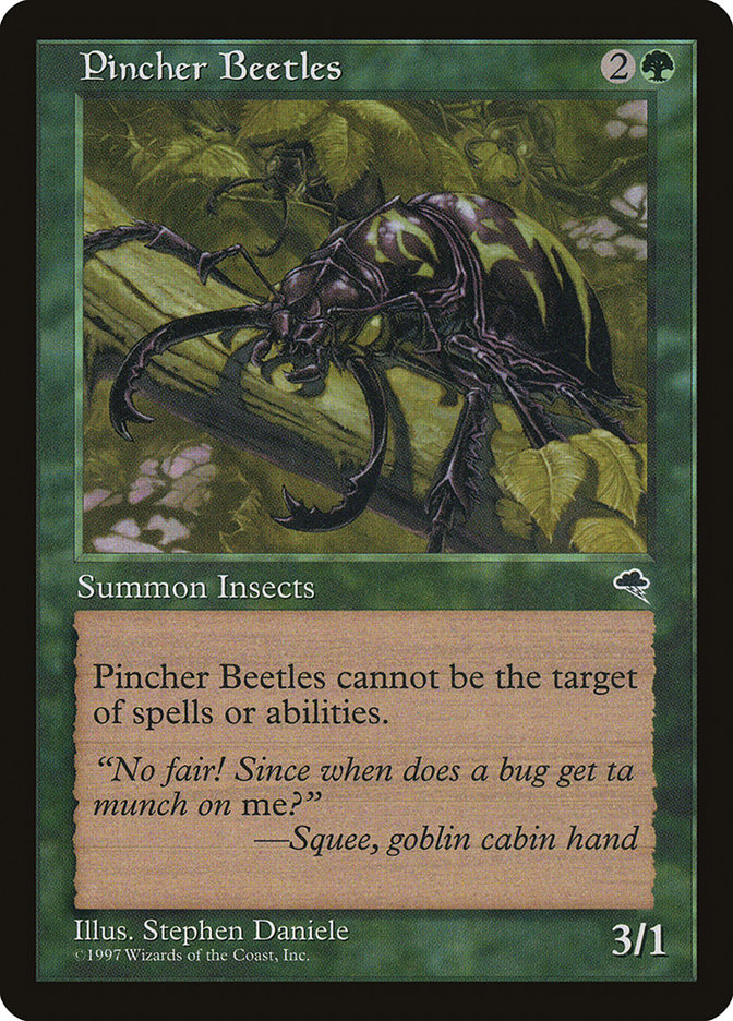 image Pincher Beetles