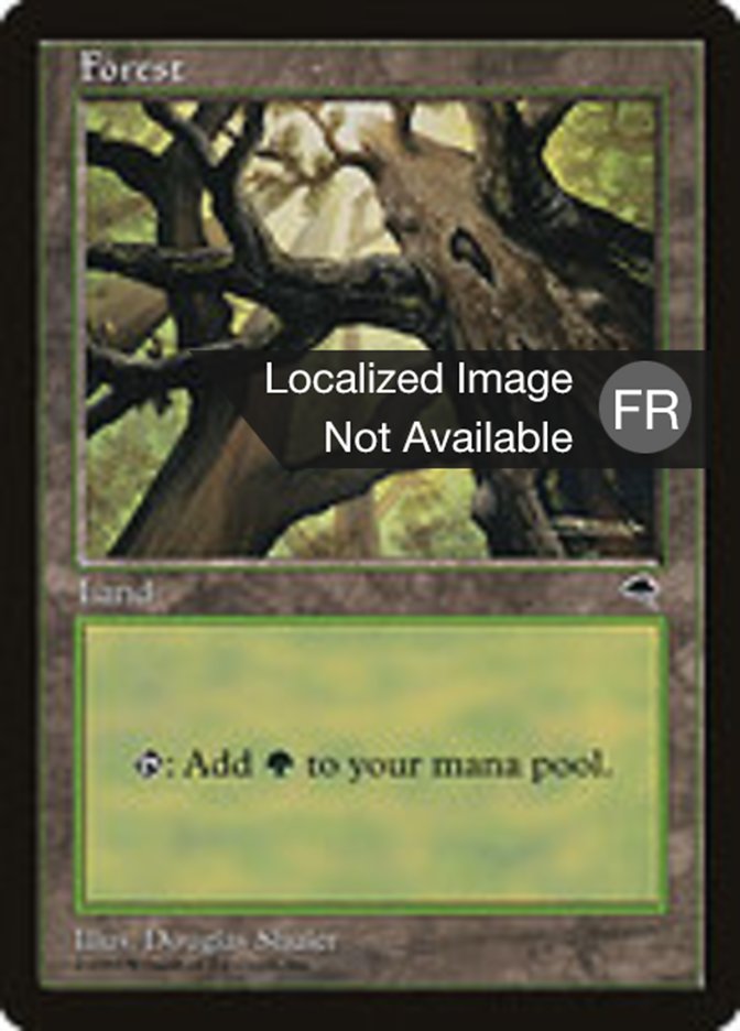image Forêt
